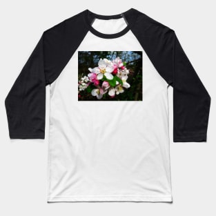 Dew Sprinkled Crabapple Blossoms Baseball T-Shirt